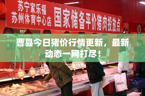 曹縣今日豬價(jià)行情更新，最新動(dòng)態(tài)一網(wǎng)打盡！