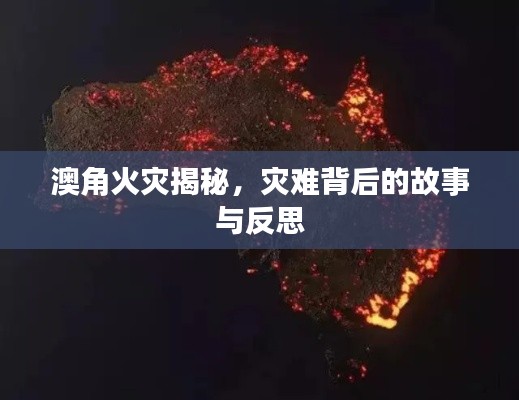 澳角火災(zāi)揭秘，災(zāi)難背后的故事與反思