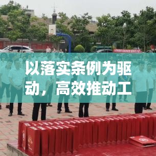 以落實條例為驅(qū)動，高效推動工作發(fā)展