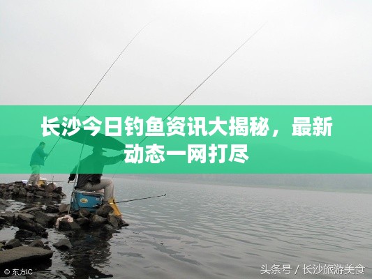 長(zhǎng)沙今日釣魚資訊大揭秘，最新動(dòng)態(tài)一網(wǎng)打盡