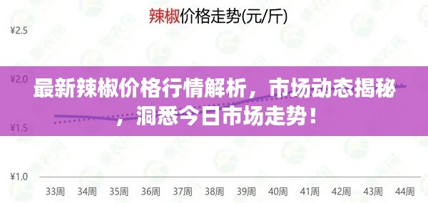 最新辣椒價(jià)格行情解析，市場(chǎng)動(dòng)態(tài)揭秘，洞悉今日市場(chǎng)走勢(shì)！