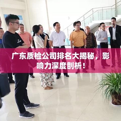 廣東質(zhì)檢公司排名大揭秘，影響力深度剖析！