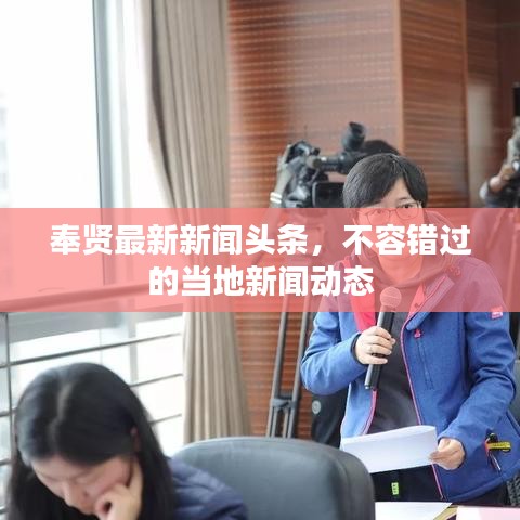 奉賢最新新聞頭條，不容錯過的當?shù)匦侣剟討B(tài)