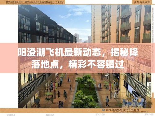 陽(yáng)澄湖飛機(jī)最新動(dòng)態(tài)，揭秘降落地點(diǎn)，精彩不容錯(cuò)過(guò)