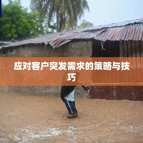 應(yīng)對(duì)客戶(hù)突發(fā)需求的策略與技巧