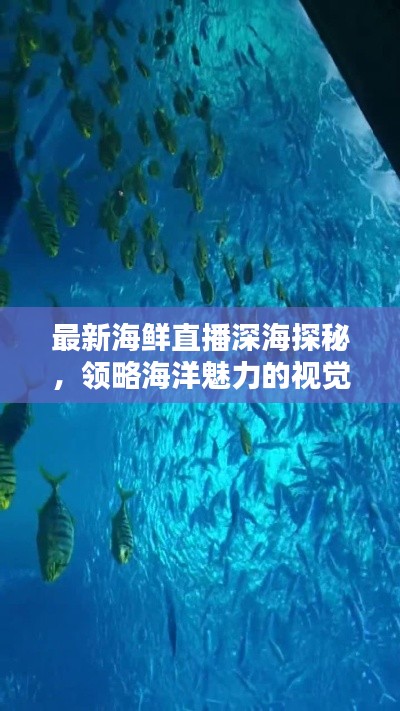 最新海鮮直播深海探秘，領(lǐng)略海洋魅力的視覺盛宴