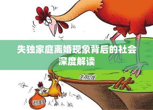 失獨(dú)家庭離婚現(xiàn)象背后的社會(huì)深度解讀