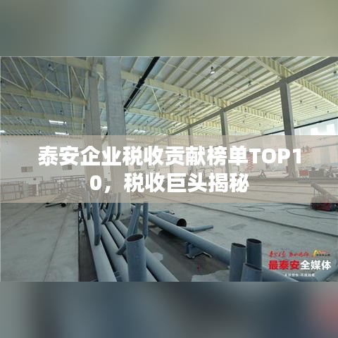 泰安企業(yè)稅收貢獻(xiàn)榜單TOP10，稅收巨頭揭秘