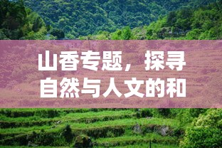 山香專題，探尋自然與人文的和諧之美