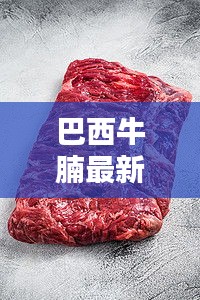 巴西牛腩最新價(jià)格表與圖片概覽，全面了解牛腩行情