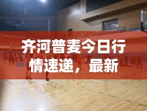 齊河普麥今日行情速遞，最新動(dòng)態(tài)一網(wǎng)打盡！