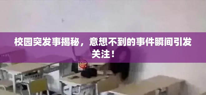 校園突發(fā)事揭秘，意想不到的事件瞬間引發(fā)關(guān)注！