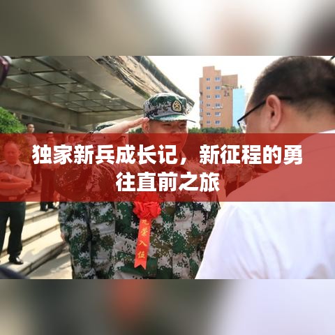 獨(dú)家新兵成長(zhǎng)記，新征程的勇往直前之旅