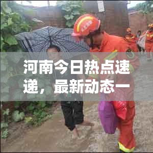 河南今日熱點(diǎn)速遞，最新動(dòng)態(tài)一網(wǎng)打盡！