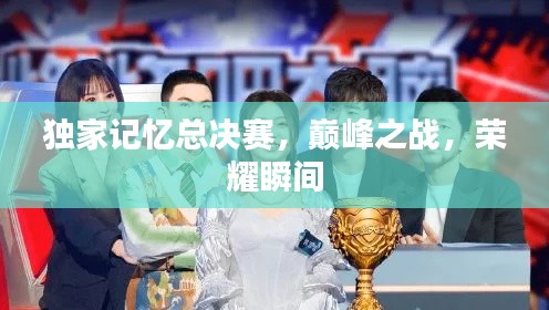 獨家記憶總決賽，巔峰之戰(zhàn)，榮耀瞬間