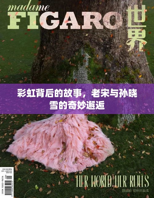 彩虹背后的故事，老宋與孫曉雪的奇妙邂逅