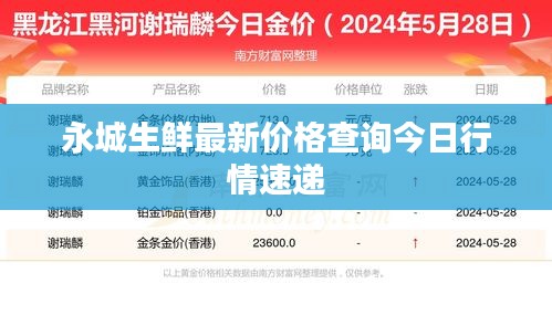 永城生鮮最新價(jià)格查詢(xún)今日行情速遞