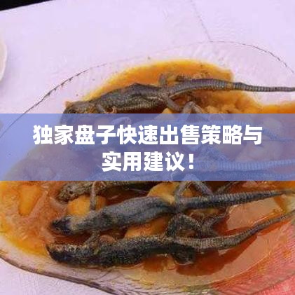 獨(dú)家盤子快速出售策略與實(shí)用建議！