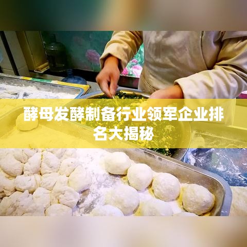 酵母發(fā)酵制備行業(yè)領(lǐng)軍企業(yè)排名大揭秘