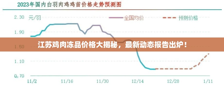 江蘇雞肉凍品價格大揭秘，最新動態(tài)報告出爐！