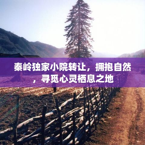 秦嶺獨家小院轉(zhuǎn)讓，擁抱自然，尋覓心靈棲息之地