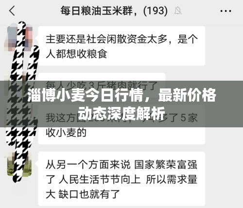 淄博小麥今日行情，最新價(jià)格動(dòng)態(tài)深度解析