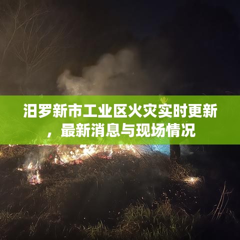 汨羅新市工業(yè)區(qū)火災(zāi)實(shí)時(shí)更新，最新消息與現(xiàn)場情況