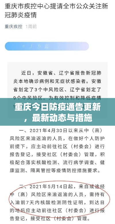 重慶今日防疫通告更新，最新動態(tài)與措施