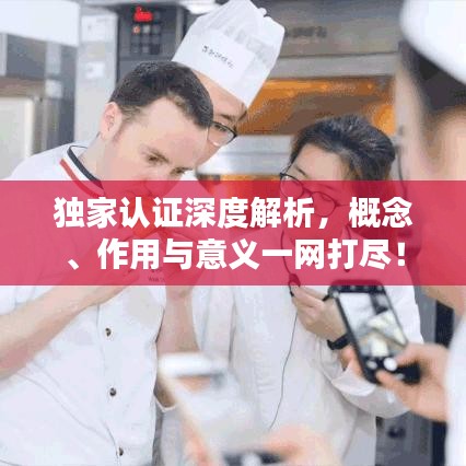 獨家認證深度解析，概念、作用與意義一網打盡！
