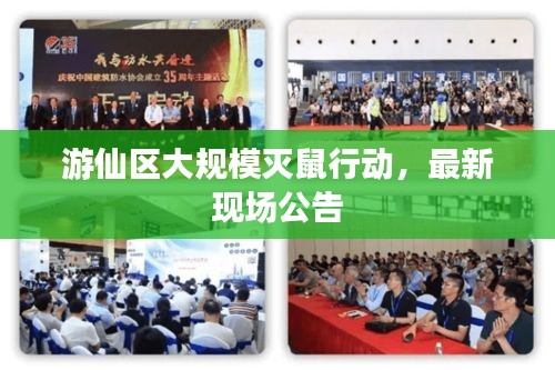 游仙區(qū)大規(guī)模滅鼠行動(dòng)，最新現(xiàn)場(chǎng)公告