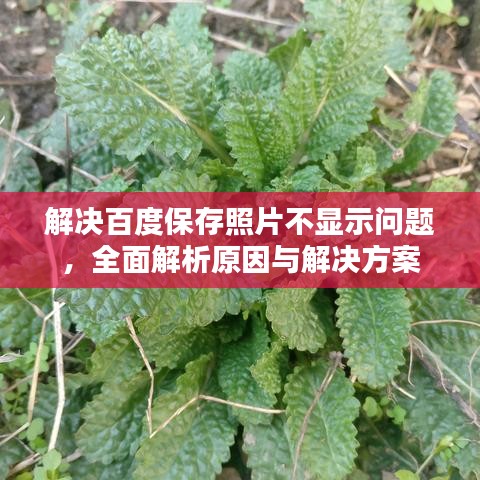 解決百度保存照片不顯示問題，全面解析原因與解決方案