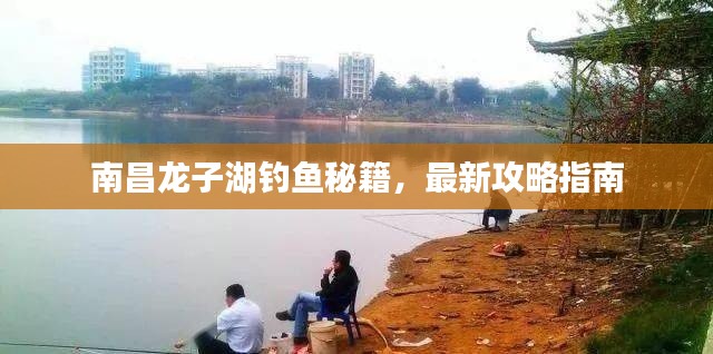 南昌龍子湖釣魚秘籍，最新攻略指南