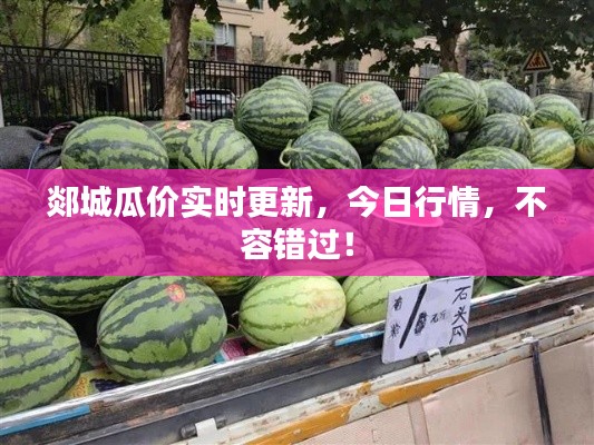 郯城瓜價(jià)實(shí)時(shí)更新，今日行情，不容錯(cuò)過(guò)！