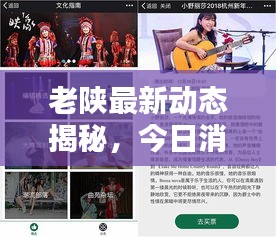 老陜最新動態(tài)揭秘，今日消息一網(wǎng)打盡