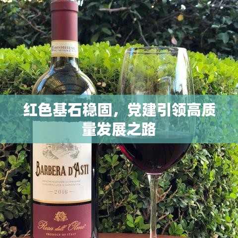 紅色基石穩(wěn)固，黨建引領(lǐng)高質(zhì)量發(fā)展之路