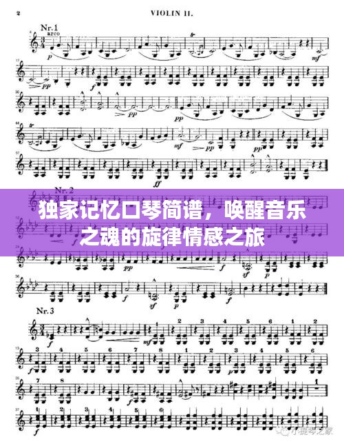 獨家記憶口琴簡譜，喚醒音樂之魂的旋律情感之旅