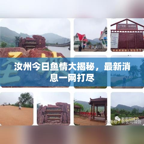 汝州今日魚情大揭秘，最新消息一網(wǎng)打盡