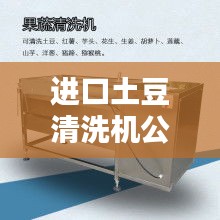進口土豆清洗機公司排行榜TOP - 專業(yè)清洗設備供應商一網(wǎng)打盡！