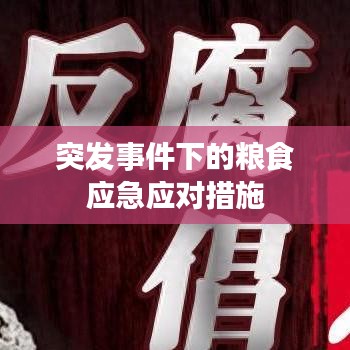 突發(fā)事件下的糧食應急應對措施