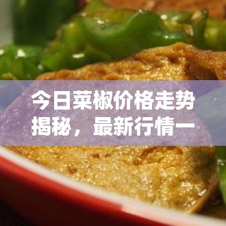 今日菜椒價(jià)格走勢(shì)揭秘，最新行情一覽