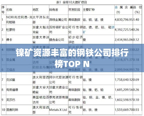 鎳礦資源豐富的鋼鐵公司排行榜TOP N