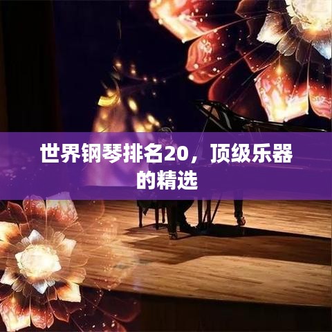 世界鋼琴排名20，頂級樂器的精選