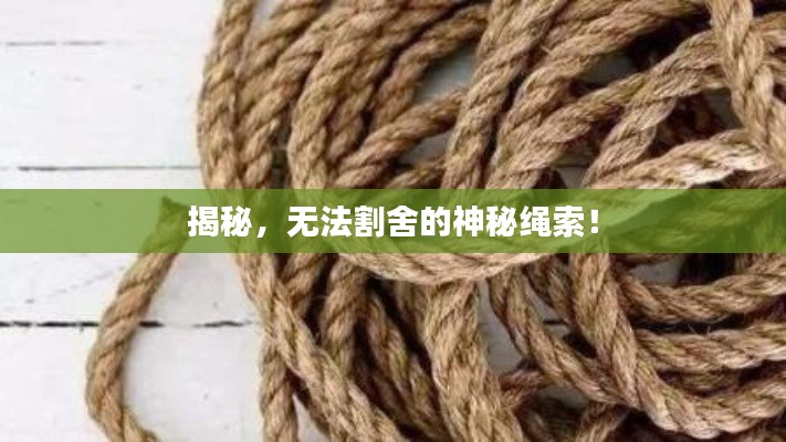揭秘，無法割舍的神秘繩索！