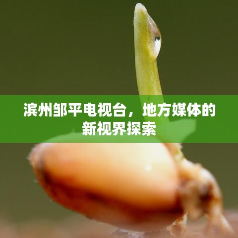 濱州鄒平電視臺(tái)，地方媒體的新視界探索