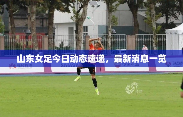 山東女足今日動(dòng)態(tài)速遞，最新消息一覽