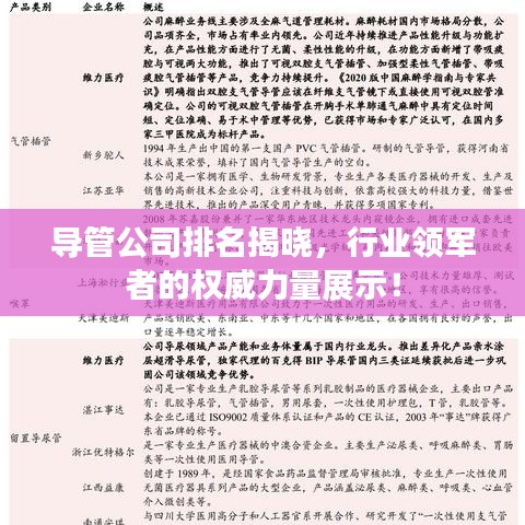 導(dǎo)管公司排名揭曉，行業(yè)領(lǐng)軍者的權(quán)威力量展示！
