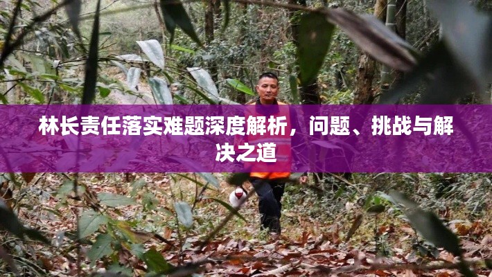 林長責(zé)任落實(shí)難題深度解析，問題、挑戰(zhàn)與解決之道