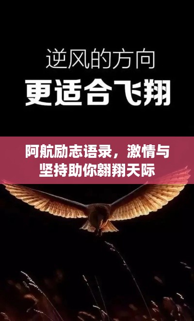 阿航勵(lì)志語(yǔ)錄，激情與堅(jiān)持助你翱翔天際