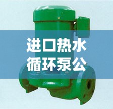 進口熱水循環(huán)泵公司排行榜及行業(yè)影響力解析