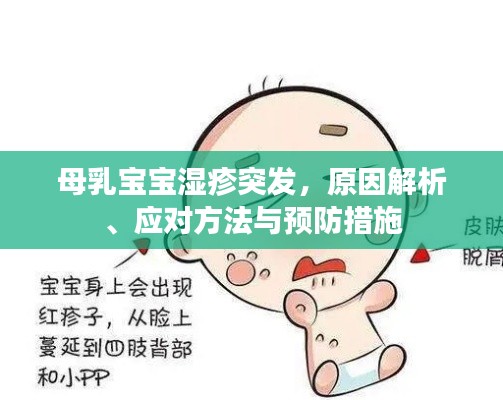 母乳寶寶濕疹突發(fā)，原因解析、應(yīng)對方法與預(yù)防措施